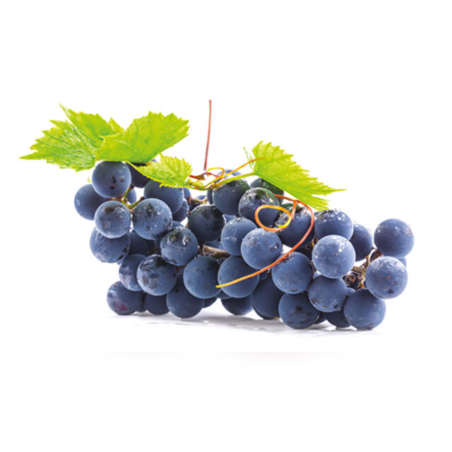 Uva fragola Fratelli Castellino
