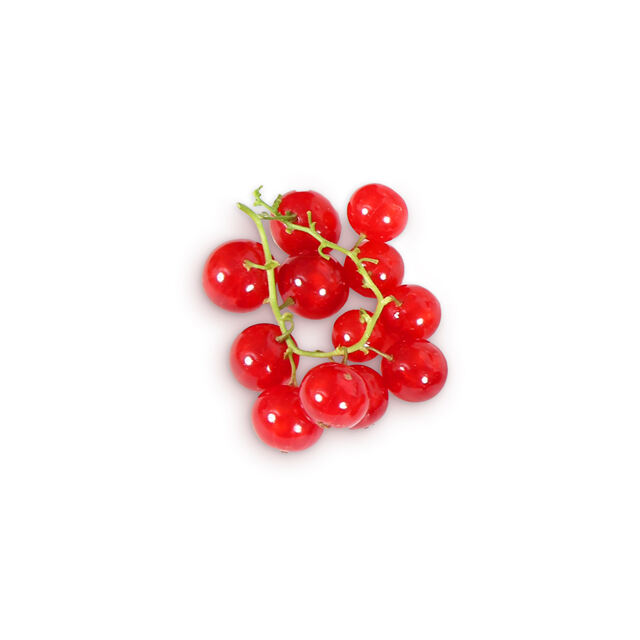 Ribes Fratelli Castellino