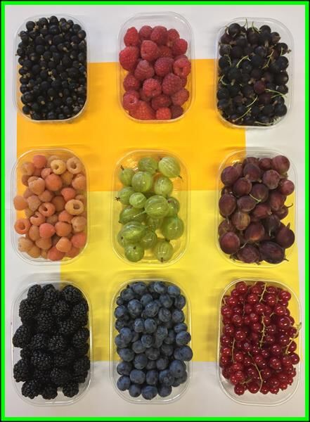FRUTTI ROSSI: PICCOLE GOLOSITÀ A TUTTA SALUTE !!