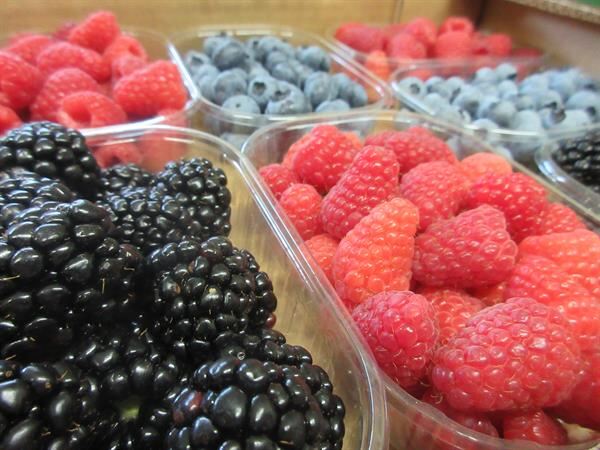 PICCOLI FRUTTI ...