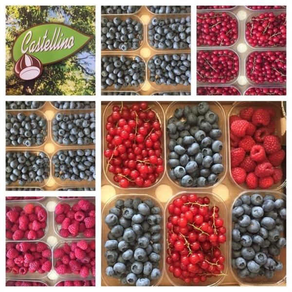 FINALMENTE I PICCOLI FRUTTI....