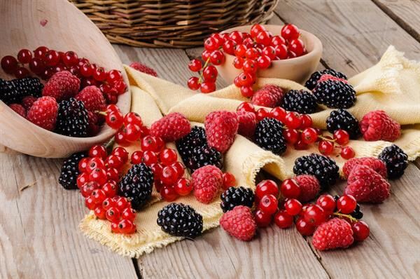 I FRUTTI DEL SOTTOBOSCO