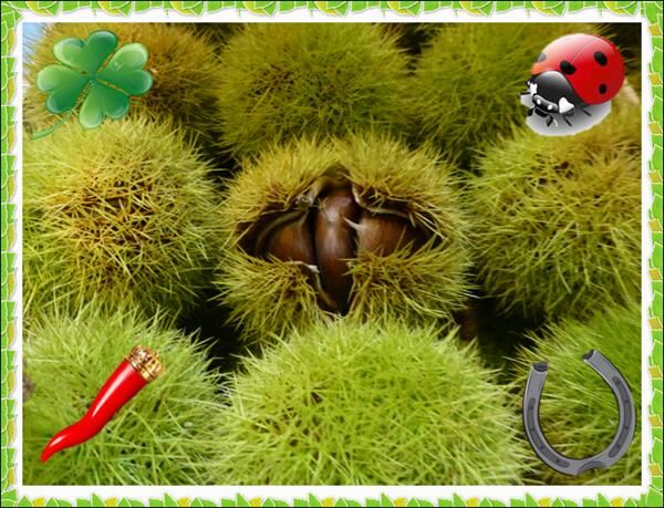LA FORTUNA DELLE CASTAGNE...