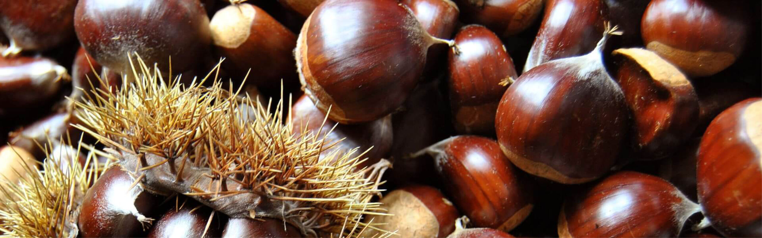 Fratelli Castellino: Castagne