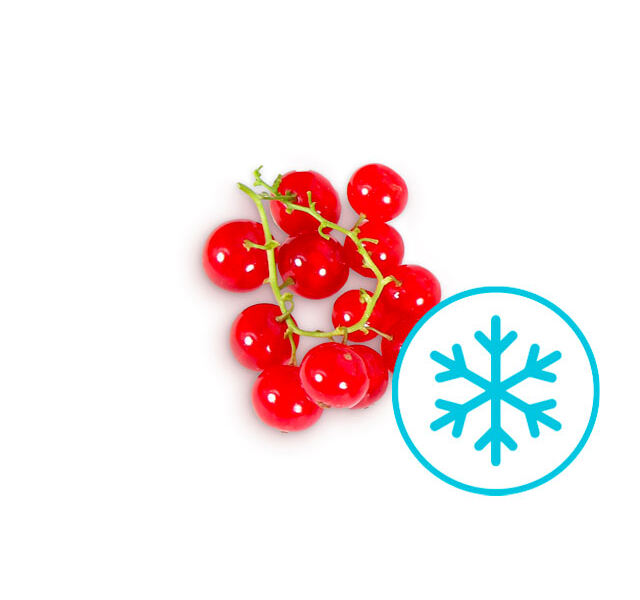 Ribes Fratelli Castellino