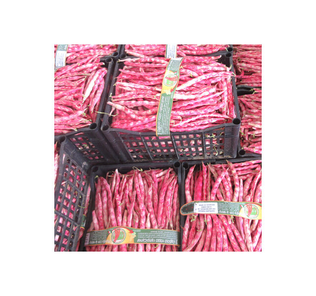 Fagioli borlotti Fratelli Castellino